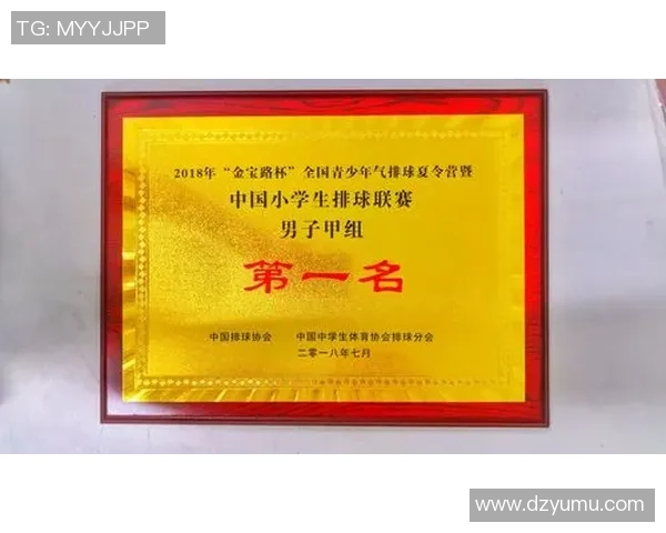 排球比赛经验排行榜揭晓北京排球队荣获第七名佳绩