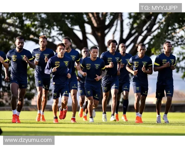 厄瓜多尔足球明星盘点及其在国际赛场上的辉煌成就